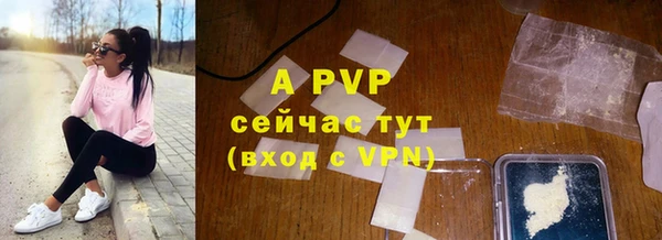 индика Аркадак