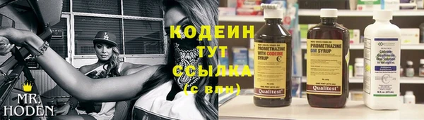 индика Аркадак