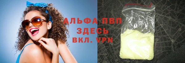 индика Аркадак
