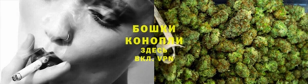 кокс Арсеньев