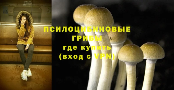 кокс Арсеньев