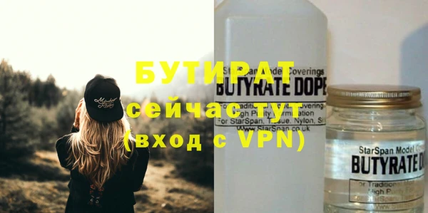 индика Аркадак