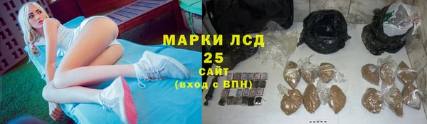 индика Аркадак