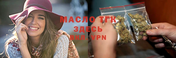индика Аркадак