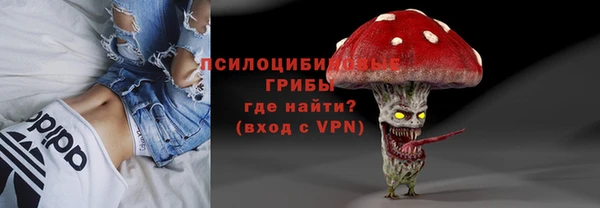 индика Аркадак