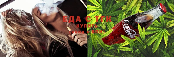 индика Аркадак