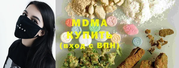 индика Аркадак